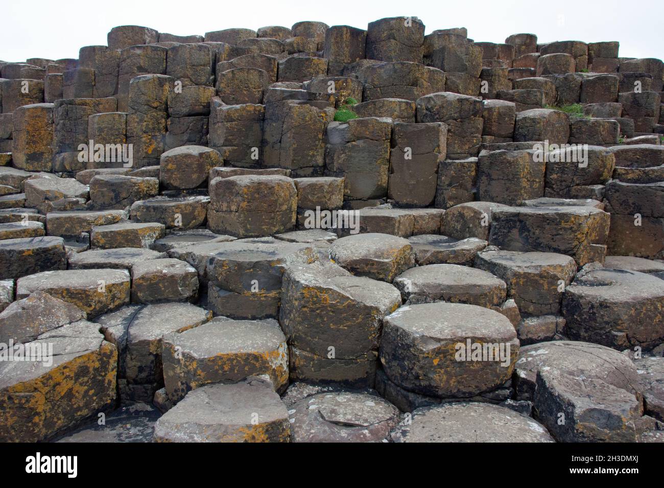 Vista sul Selciato del gigante, irlanda del Nord Foto Stock