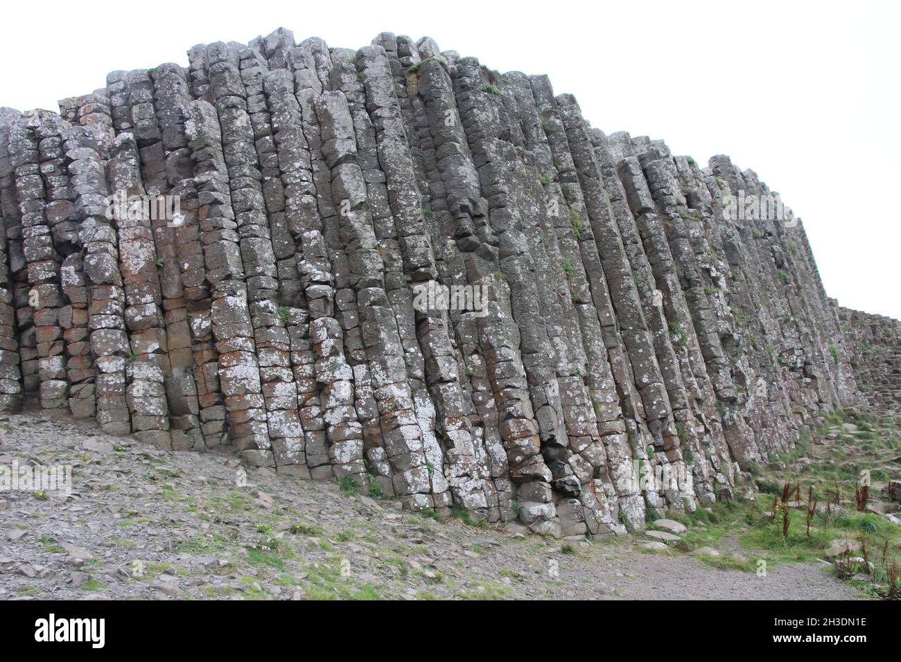 Vista sul Selciato del gigante, irlanda del Nord Foto Stock