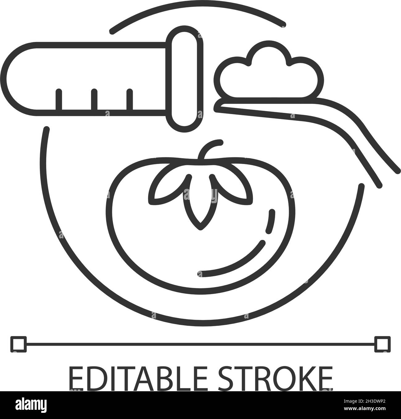 Icona lineare per l'analisi degli alimenti Illustrazione Vettoriale