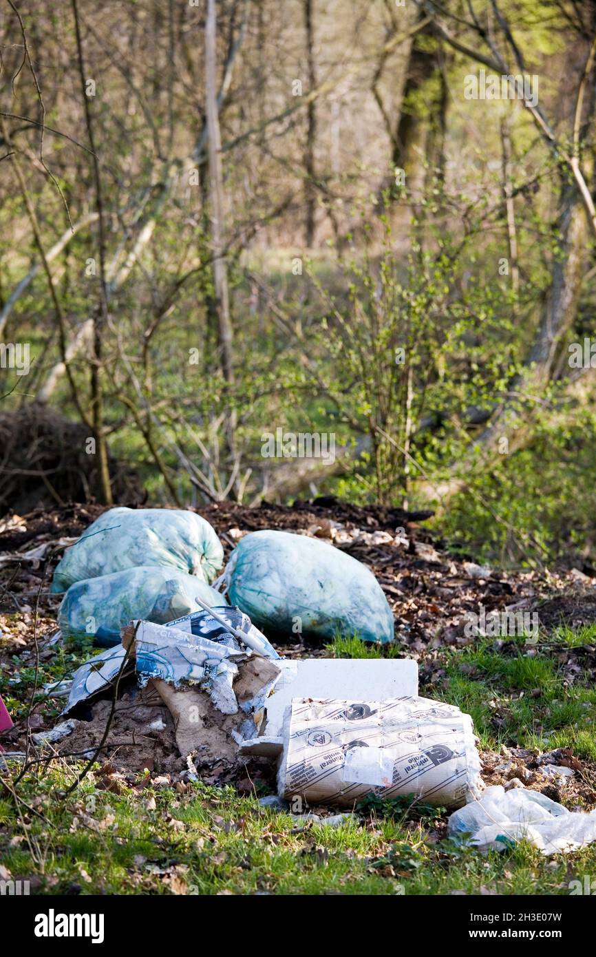 Rifiuti deposti al bordo della foresta, deposito illegale di rifiuti, Germania Foto Stock