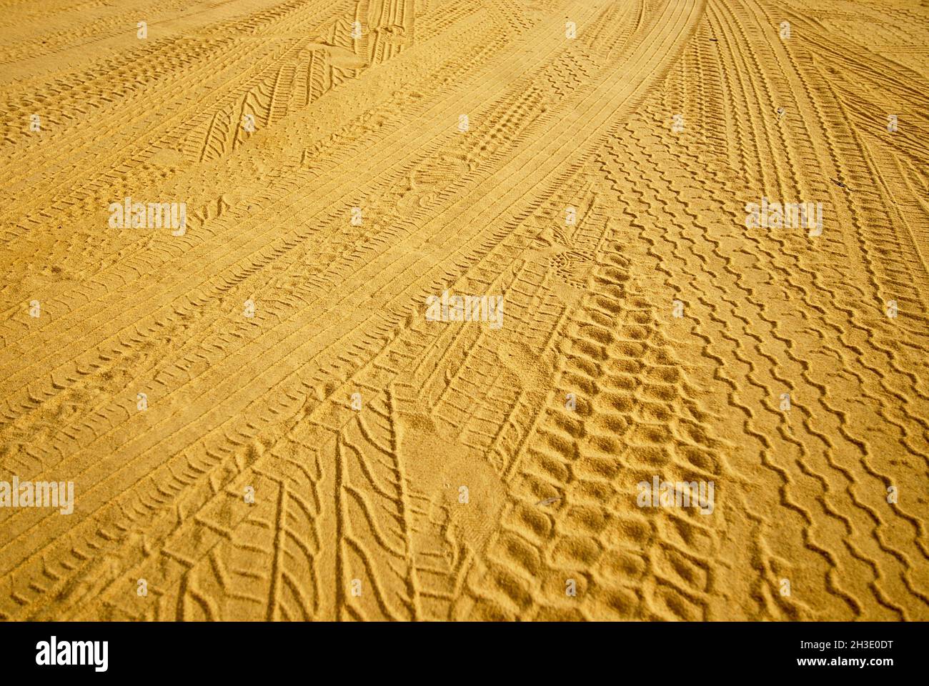 Cingoli pneumatici su terreno sabbioso, Australia Foto Stock