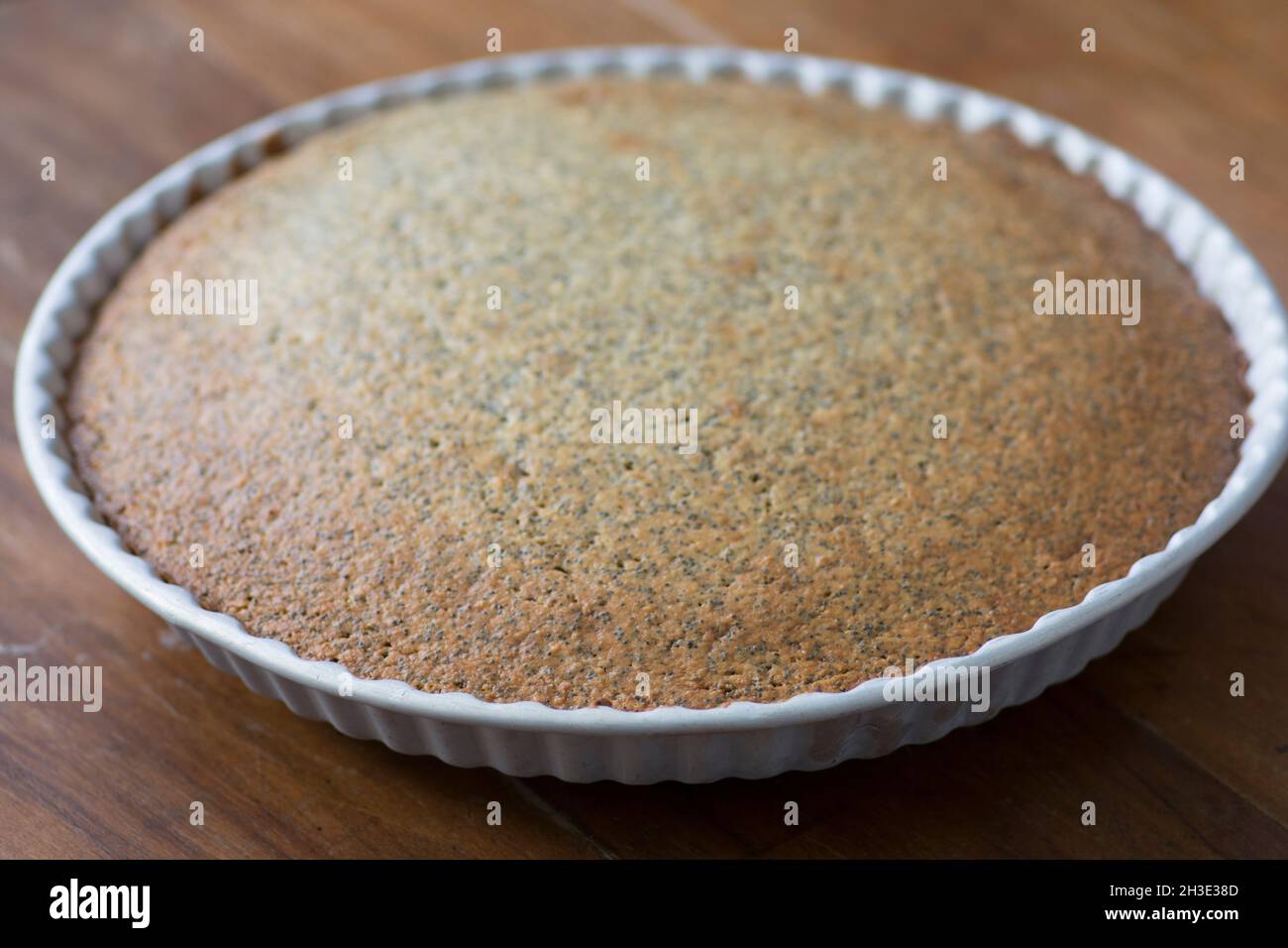 Torta di semi di papavero rotonda fatta in casa Foto Stock