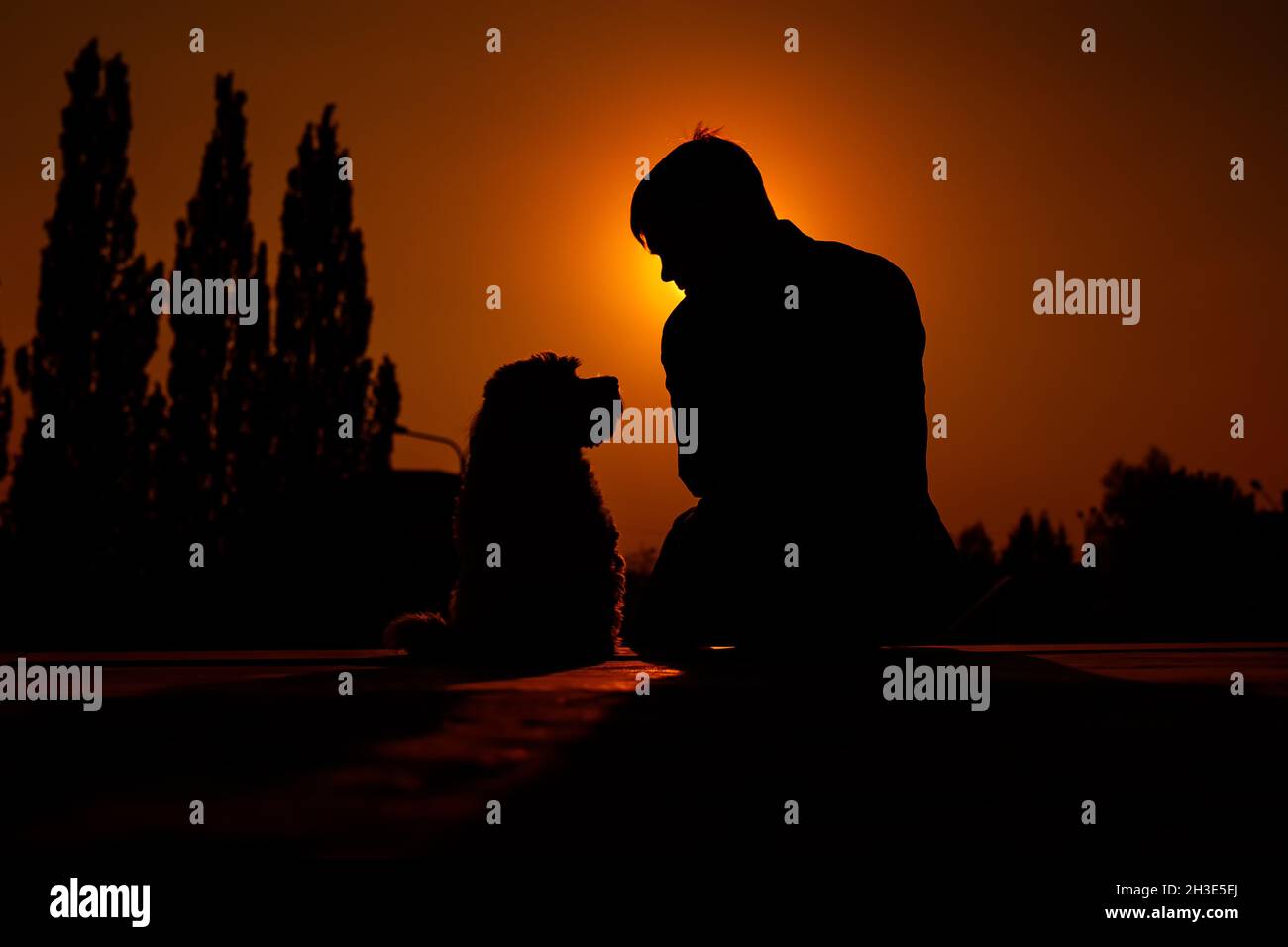 Silhouette di un uomo seduto con il suo cane volpe terrer. Foto Stock