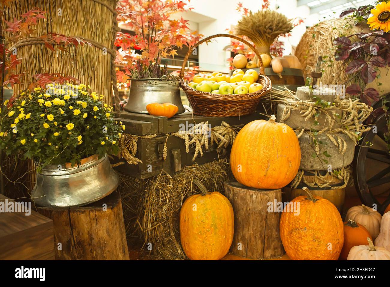 Composizione decorativa di frutta e verdura e di pagnotte di frumento sul mercato agricolo. Zucche su balle di fieno, crisantemi e mele in baske Foto Stock