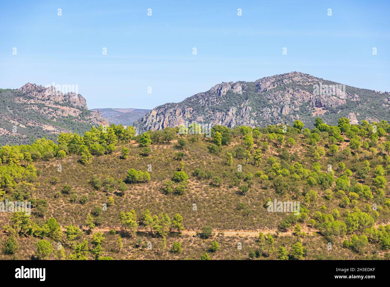Paesaggio aspro intorno alla gola di Despenaperros visto da un punto panoramico a Santa Elena Foto Stock
