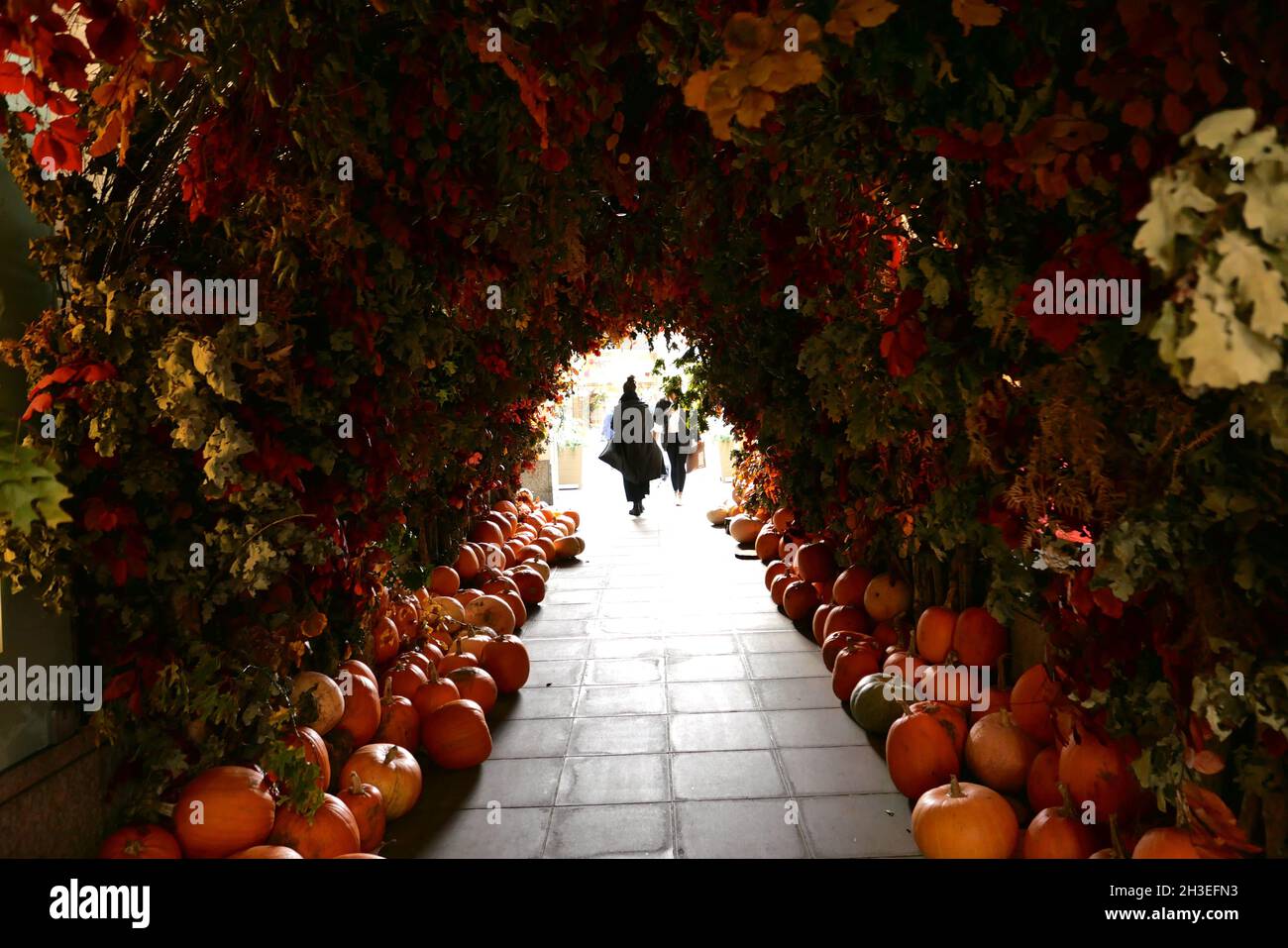Le tradizioni e l'importanza di Halloween variano notevolmente tra i paesi che la osservano. In Scozia e in Irlanda, le tradizionali abitudini di Halloween includono bambini che si vestono in costume che vanno 'a guising', che tengono le feste, mentre altre pratiche in Irlanda includono l'illuminazione falò, e che hanno fuochi d'artificio esplays.in Bretagna i bambini giocheranno pratiche scherzi impostando candele all'interno di teschi in cimici per spaventare i visitatori. L'immigrazione transatlantica di massa nel 19 ° secolo ha reso popolare Halloween in Nord America, e la celebrazione negli Stati Uniti e in Canada ha avuto un impatto significativo ... Foto Stock