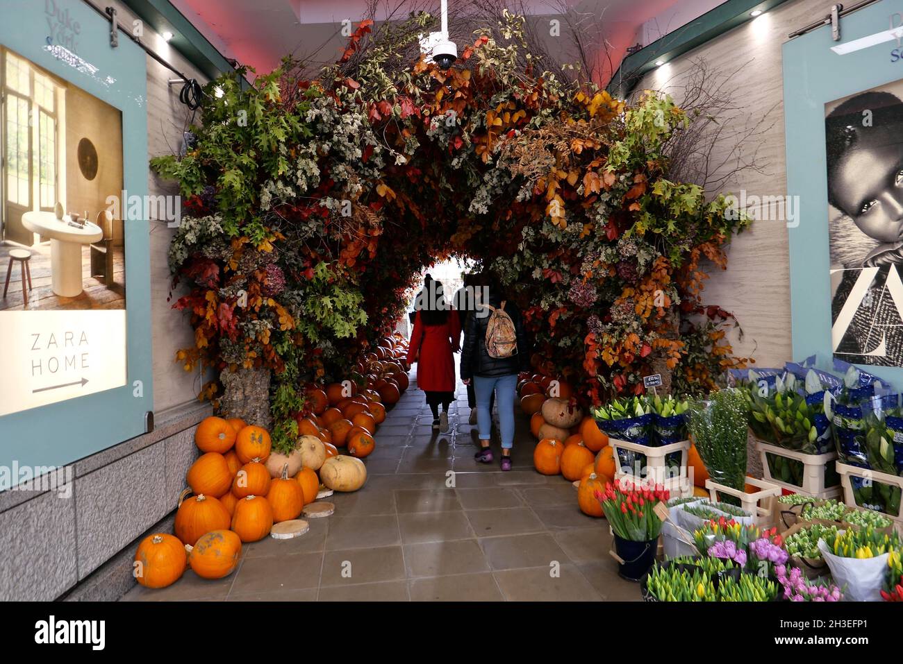 Le tradizioni e l'importanza di Halloween variano notevolmente tra i paesi che la osservano. In Scozia e in Irlanda, le tradizionali abitudini di Halloween includono bambini che si vestono in costume che vanno 'a guising', che tengono le feste, mentre altre pratiche in Irlanda includono l'illuminazione falò, e che hanno fuochi d'artificio esplays.in Bretagna i bambini giocheranno pratiche scherzi impostando candele all'interno di teschi in cimici per spaventare i visitatori. L'immigrazione transatlantica di massa nel 19 ° secolo ha reso popolare Halloween in Nord America, e la celebrazione negli Stati Uniti e in Canada ha avuto un impatto significativo ... Foto Stock
