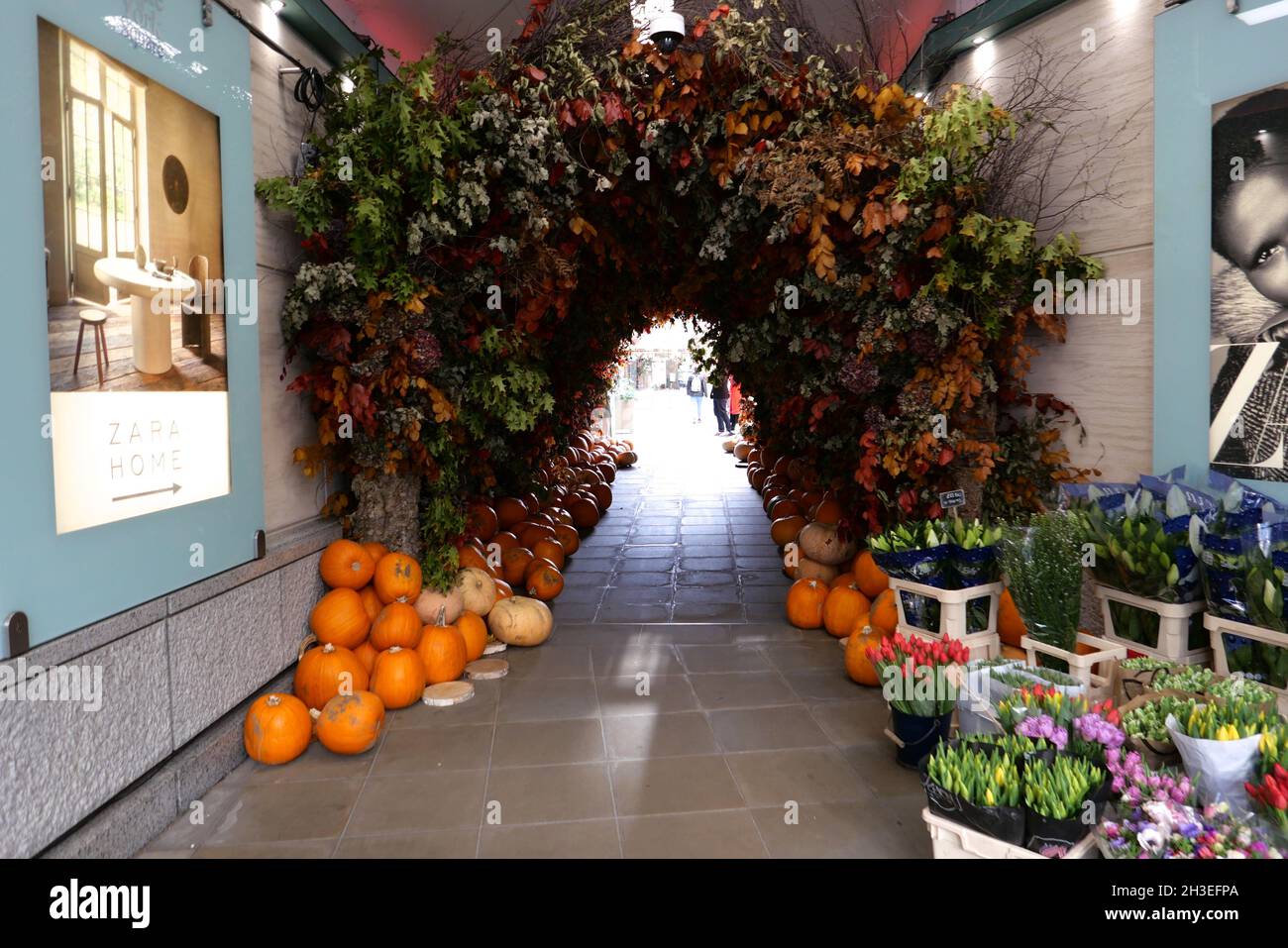 Le tradizioni e l'importanza di Halloween variano notevolmente tra i paesi che la osservano. In Scozia e in Irlanda, le tradizionali abitudini di Halloween includono bambini che si vestono in costume che vanno 'a guising', che tengono le feste, mentre altre pratiche in Irlanda includono l'illuminazione falò, e che hanno fuochi d'artificio esplays.in Bretagna i bambini giocheranno pratiche scherzi impostando candele all'interno di teschi in cimici per spaventare i visitatori. L'immigrazione transatlantica di massa nel 19 ° secolo ha reso popolare Halloween in Nord America, e la celebrazione negli Stati Uniti e in Canada ha avuto un impatto significativo ... Foto Stock
