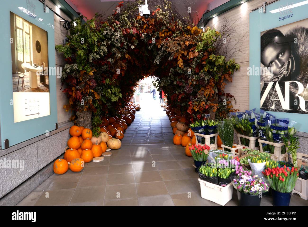 Le tradizioni e l'importanza di Halloween variano notevolmente tra i paesi che la osservano. In Scozia e in Irlanda, le tradizionali abitudini di Halloween includono bambini che si vestono in costume che vanno 'a guising', che tengono le feste, mentre altre pratiche in Irlanda includono l'illuminazione falò, e che hanno fuochi d'artificio esplays.in Bretagna i bambini giocheranno pratiche scherzi impostando candele all'interno di teschi in cimici per spaventare i visitatori. L'immigrazione transatlantica di massa nel 19 ° secolo ha reso popolare Halloween in Nord America, e la celebrazione negli Stati Uniti e in Canada ha avuto un impatto significativo ... Foto Stock