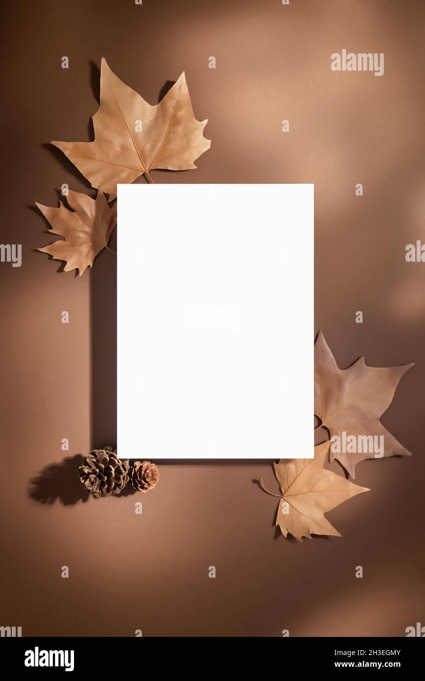 Composizione autunnale. Foglio di carta bianco su sfondo marrone con tenui ombre decorate con foglie secche e piccoli pineconi Foto Stock