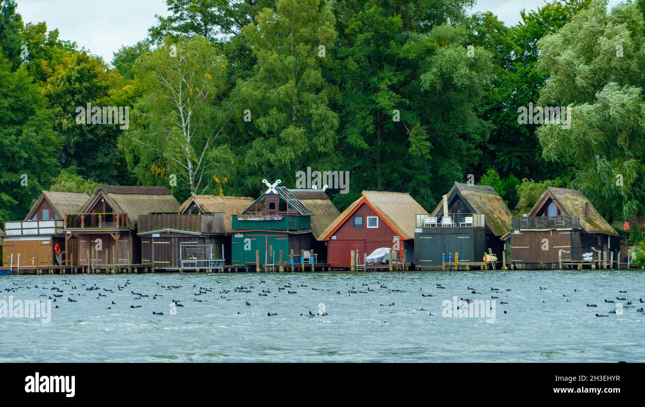 Boathouses su un lago pieno di anatre con una foresta sullo sfondo Foto Stock