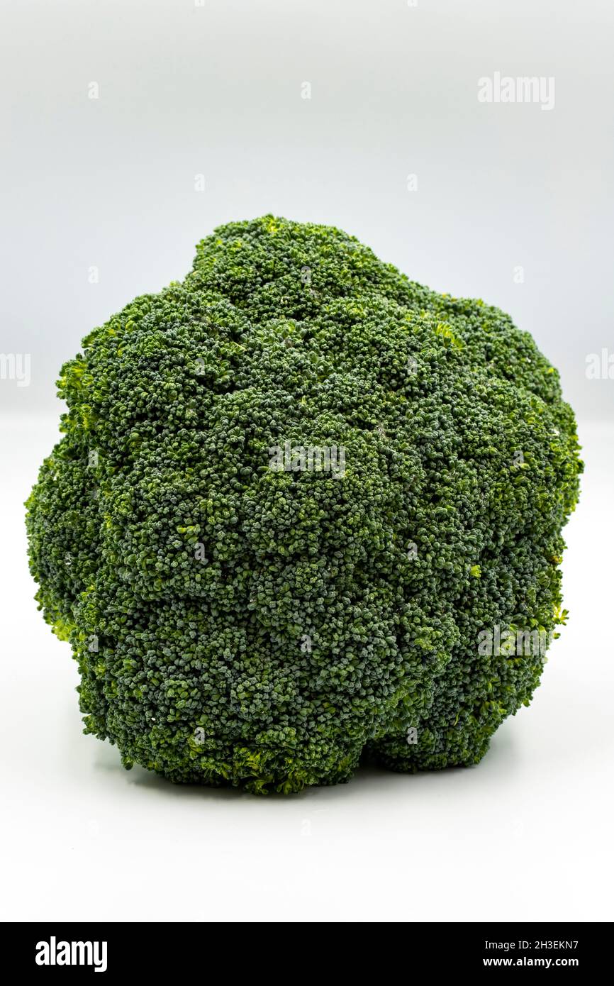 Broccoli freschi su sfondo bianco con ombra. Primo piano Foto Stock