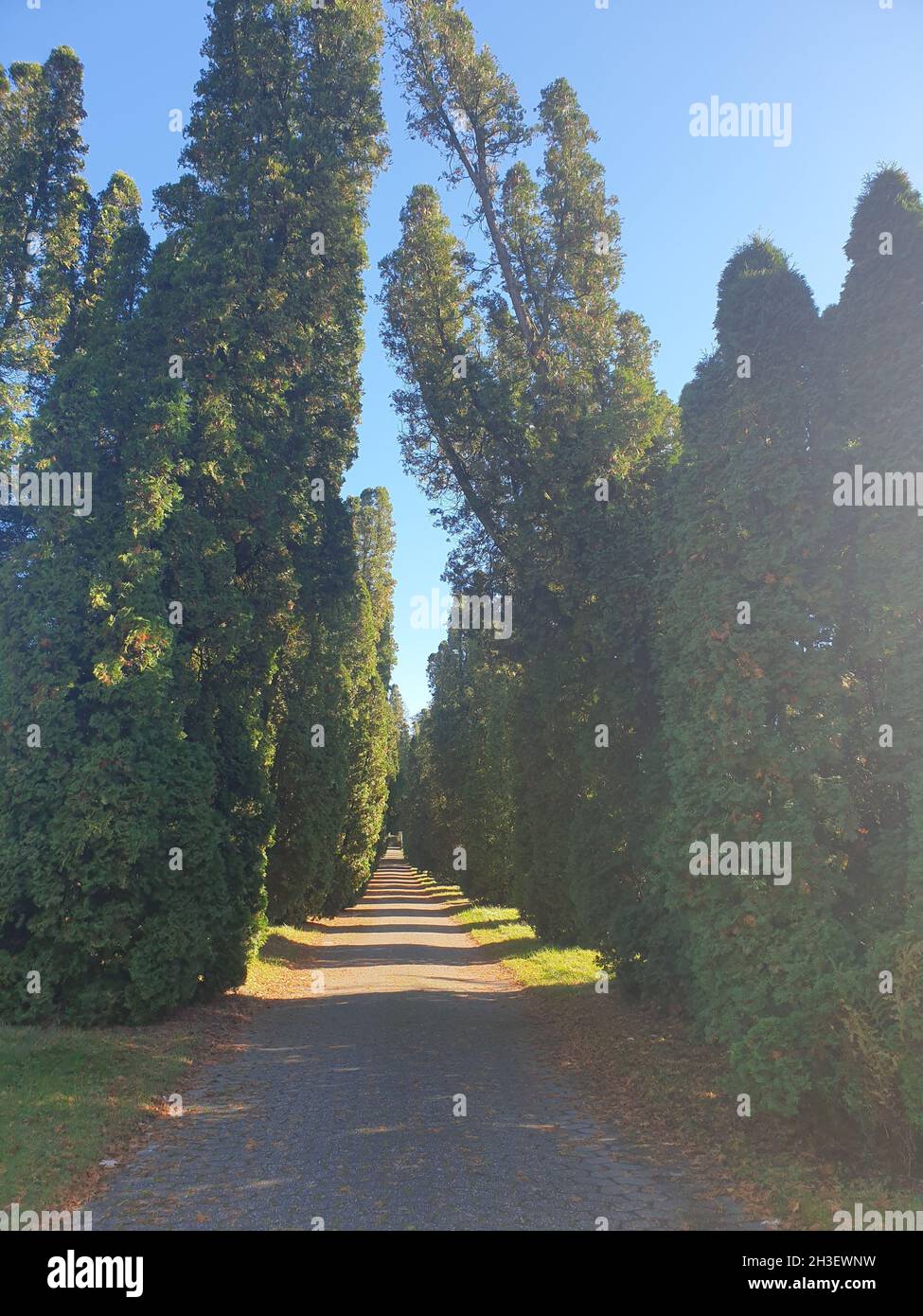 Hauptfriedhof a Mülheim an der Ruhr Foto Stock