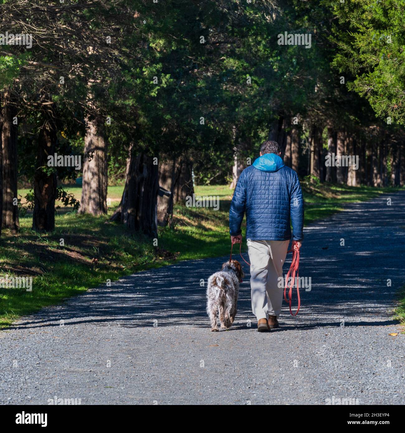 Sterling, VA, USA -- Ott 21, 2021. Foto di un uomo che cammina il suo cane a Claude Moore Park in un giorno d'autunno. Foto Stock