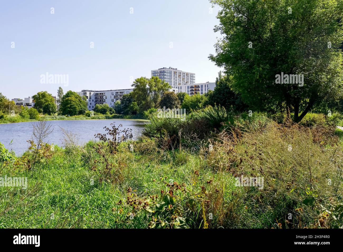 Lago con piante sulla riva è un parco naturale al centro del distretto abitativo di Goclaw a Varsavia in Polonia. Foto Stock