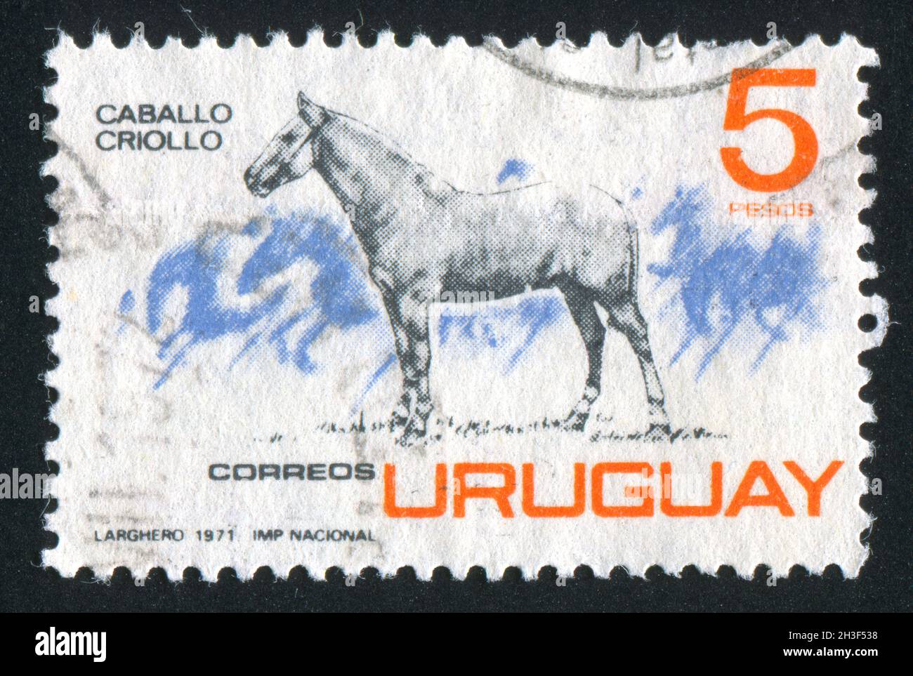 URUGUAY - CIRCA 1971: Francobollo stampato dall'Uruguay, mostra Criollo Horse, circa 1971 Foto Stock