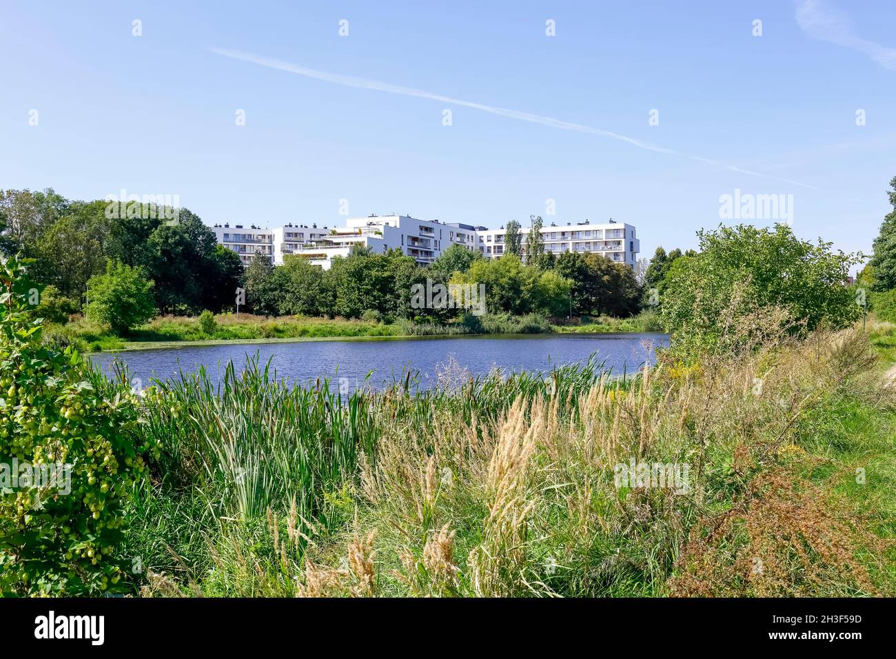 Lago con piante sulla riva è un parco naturale al centro del distretto abitativo di Goclaw a Varsavia in Polonia. Foto Stock