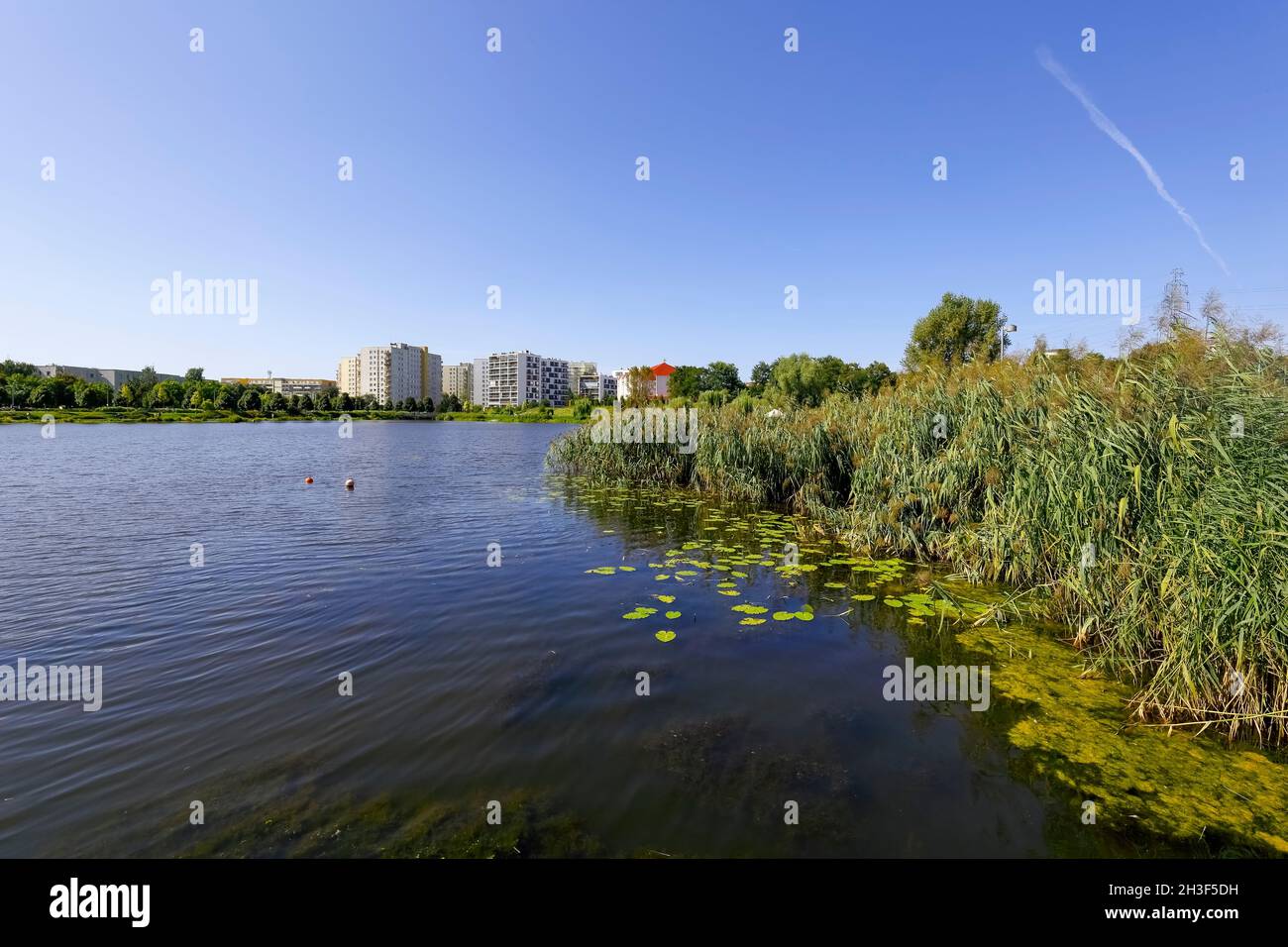 Lago con piante sulla riva è un parco naturale al centro del distretto abitativo di Goclaw a Varsavia in Polonia. Foto Stock