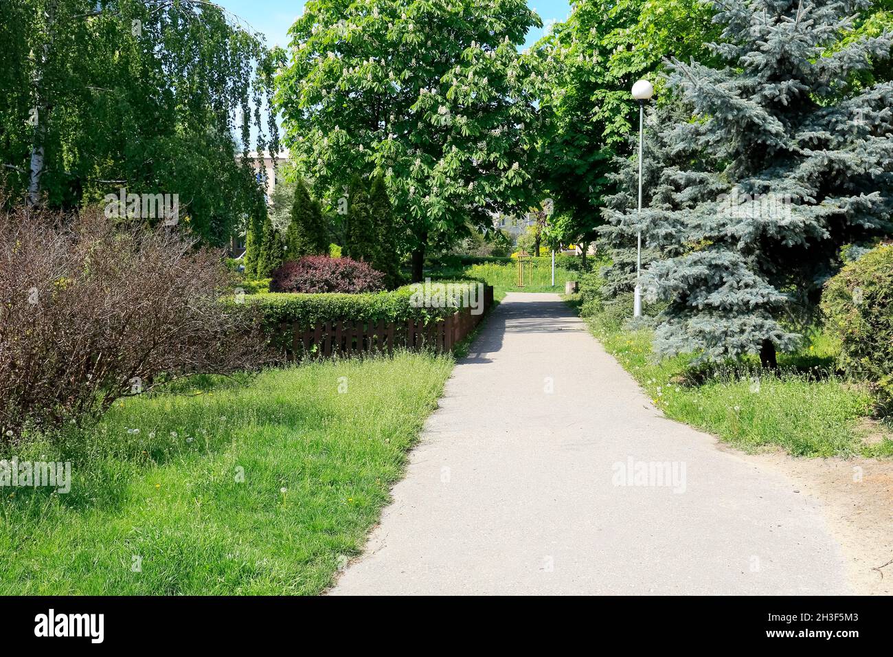 La vegetazione lussureggiante forma un parco pubblico, e tutte queste piante decorano la zona residenziale di Goclaw a Varsavia. C'è un sentiero pedonale vuoto. Foto Stock
