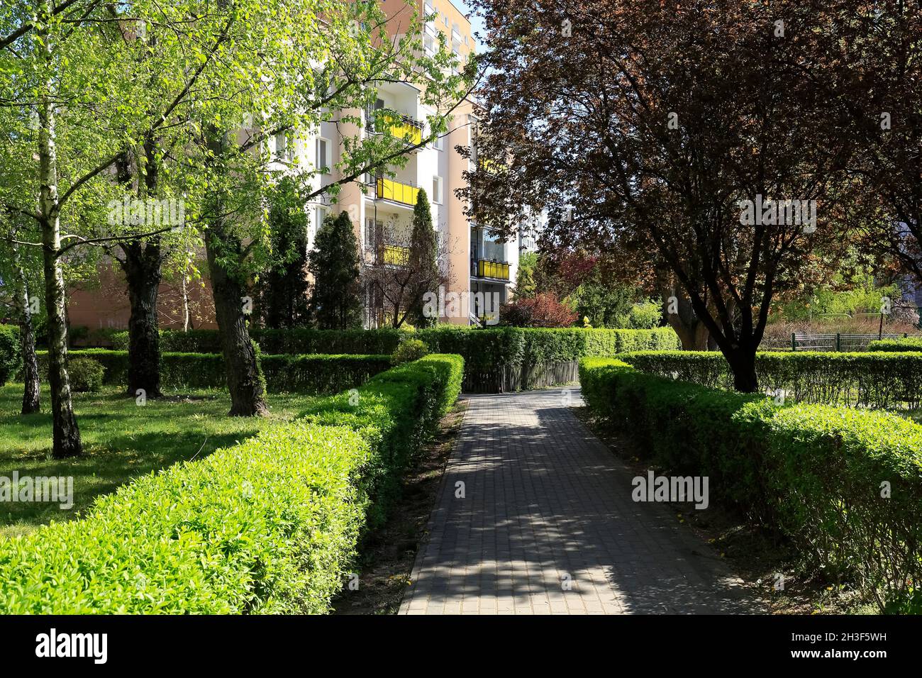 La vegetazione lussureggiante è una caratteristica naturale di una proprietà immobiliare a Varsavia, conosciuta localmente come Goclaw. Qui è marciapiede stretto nell'ombra che conduce fra lus Foto Stock
