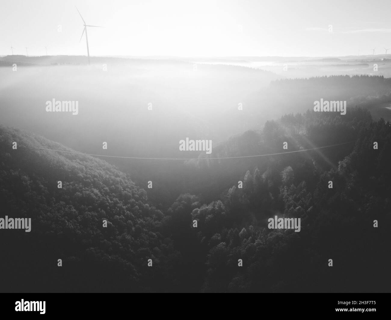 Rheinlandpfalz, 24.10.21: Die Hängeseilbrücke Geierlay im Sonnenaufgang und dazu nebelige Landschaft am frühen Morgen. Foto: Presepfoto Mika Volkmann Foto Stock