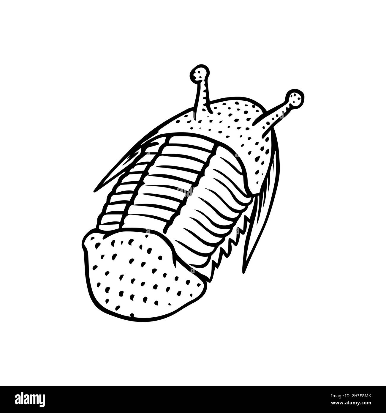 Campione di trilobite conservato. Frammento fossile, scheletro di animale morto preistorico in pietra. Archeologia o paleontologia. Incisa a mano vecchia Illustrazione Vettoriale