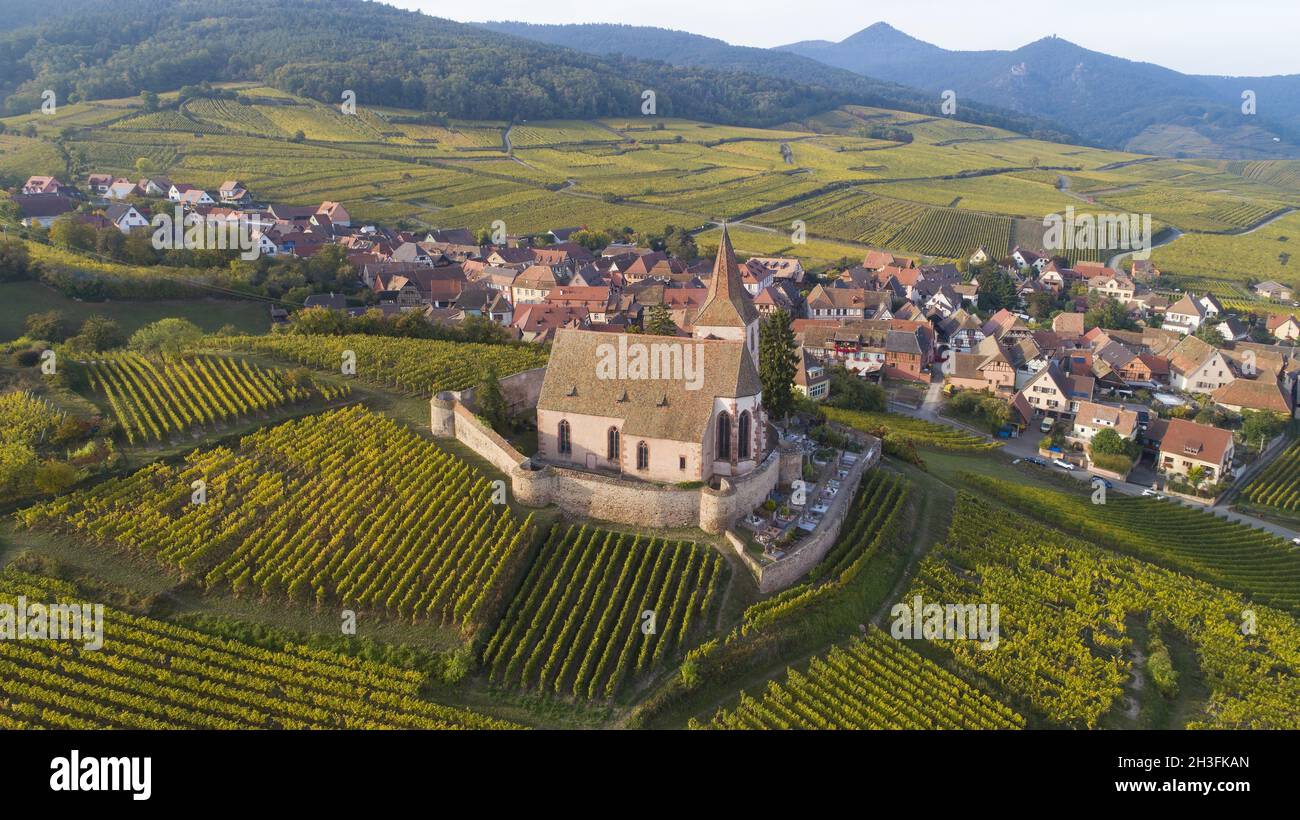 Veduta aerea del villaggio viticolo di Hunawihr in Alsazia, sullo sfondo i Vosgi, Alto Reno, regione Grand Est, Francia, Europa Foto Stock