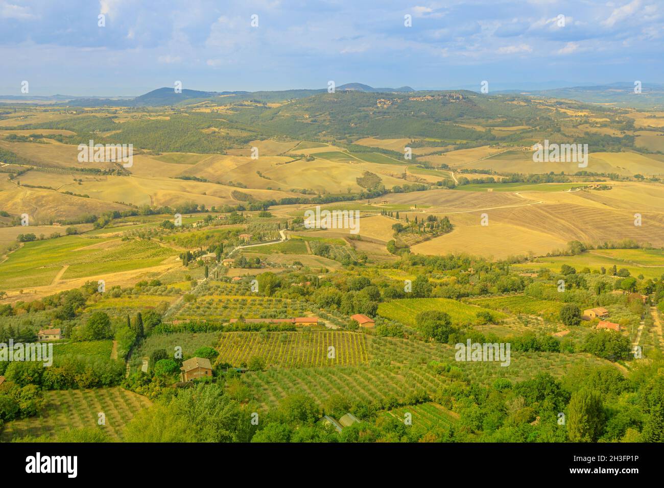 Paesaggio aereo sui vigneti terrazzati del paese viticolo toscano Montepulciano in appennino toscano-emiliano. Campagna italiana e famosa Foto Stock