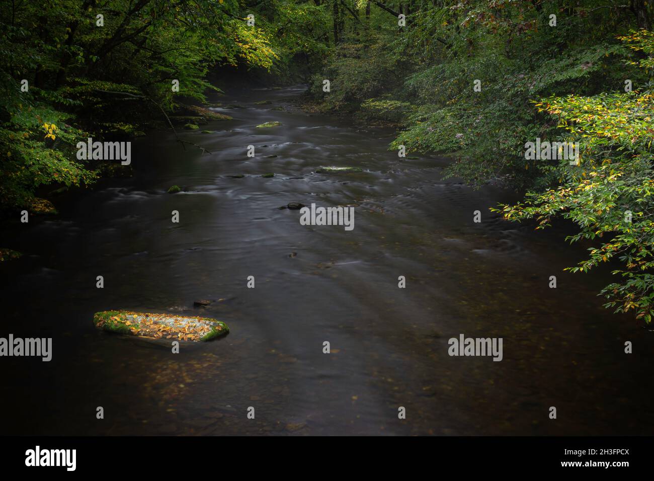 Il flusso d'acqua dolce scorre intorno alla roccia di Cataloochee Creek nel Parco Nazionale Great Smokies del North Carolina Foto Stock