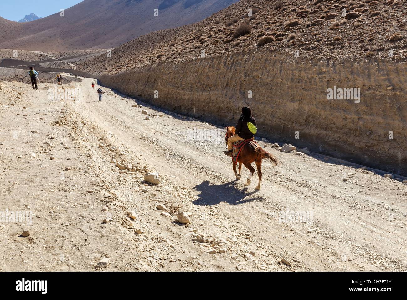 Kagbeni, distretto di Mustang, Nepal - 19 novembre 2016: Cavaliere nepalese su un cavallo corre lungo una strada nell'Himalaya. Muktinath Sadak Foto Stock