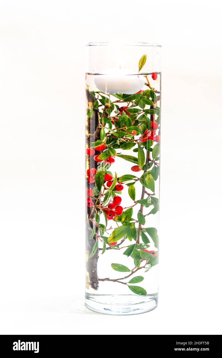 candela di tè che brucia galleggia sulla superficie dell'acqua nel vaso con decorazione verde e rossa della pianta all'interno Foto Stock