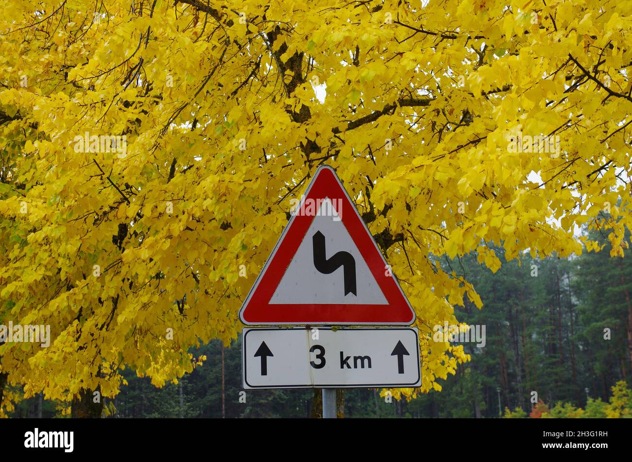 In primo piano un cartello stradale che indica una serie di curve per 3 km e sullo sfondo foglie gialle di un albero in autunno Foto Stock