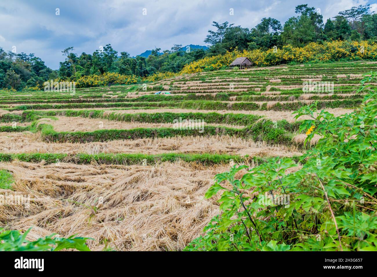 Paesaggio rurale vicino Hsipaw, Myanmar Foto Stock