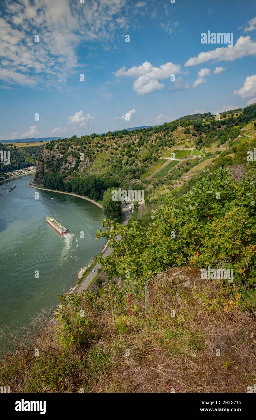 Vista sul Reno dall'alto sulla leggendaria Valle di Loreley Foto Stock