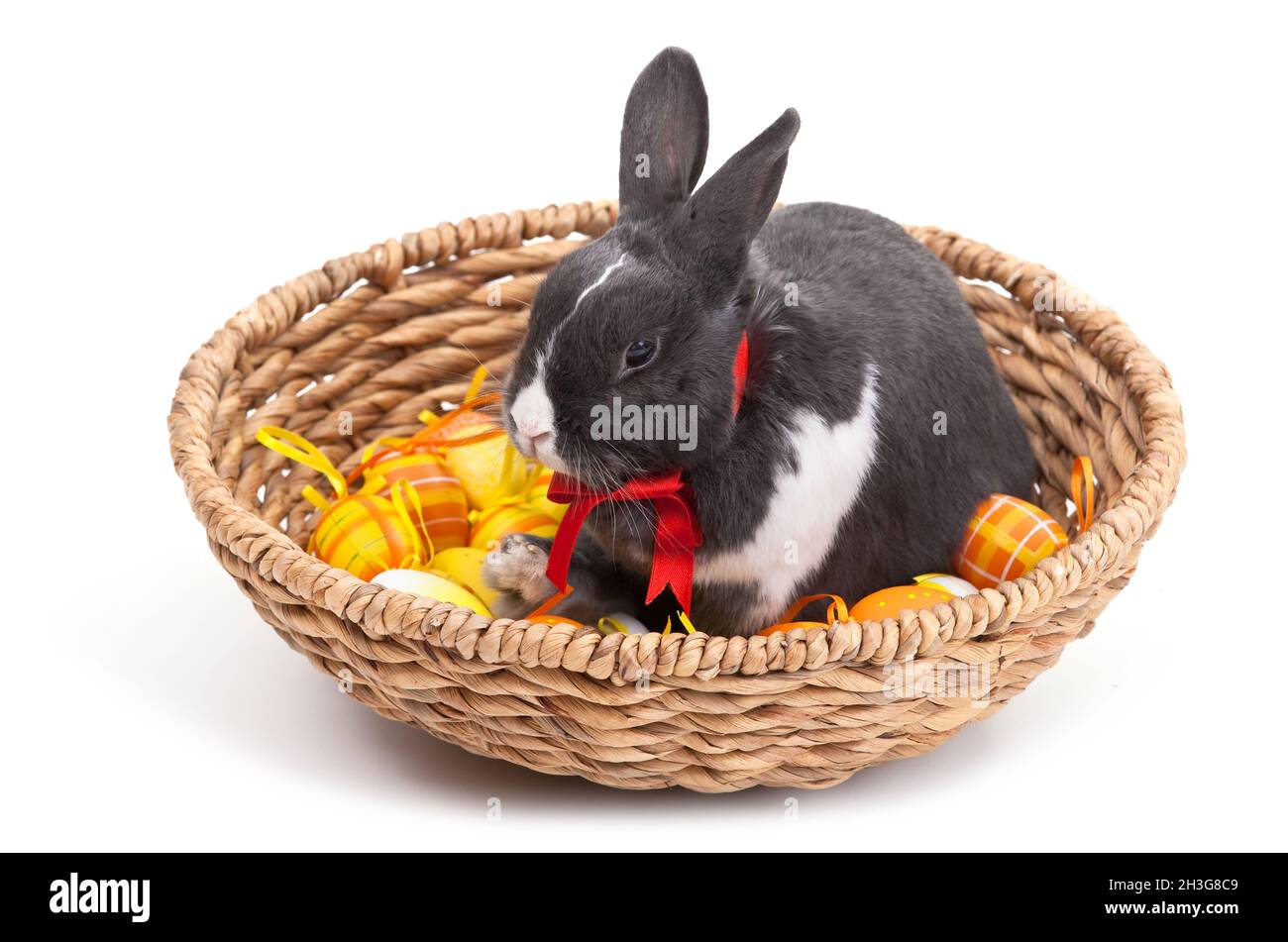Coniglietto pasquale in cestino isolato su bianco Foto Stock