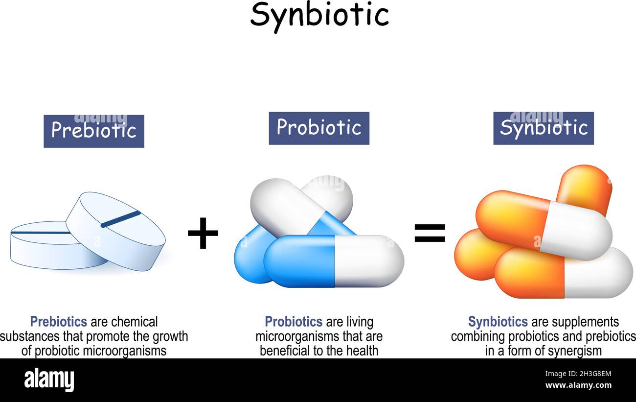 I sinbiotici sono integratori alimentari che combinano probiotici e prebiotici in una forma di sinergismo. I prebiotici sono sostanze chimiche Illustrazione Vettoriale