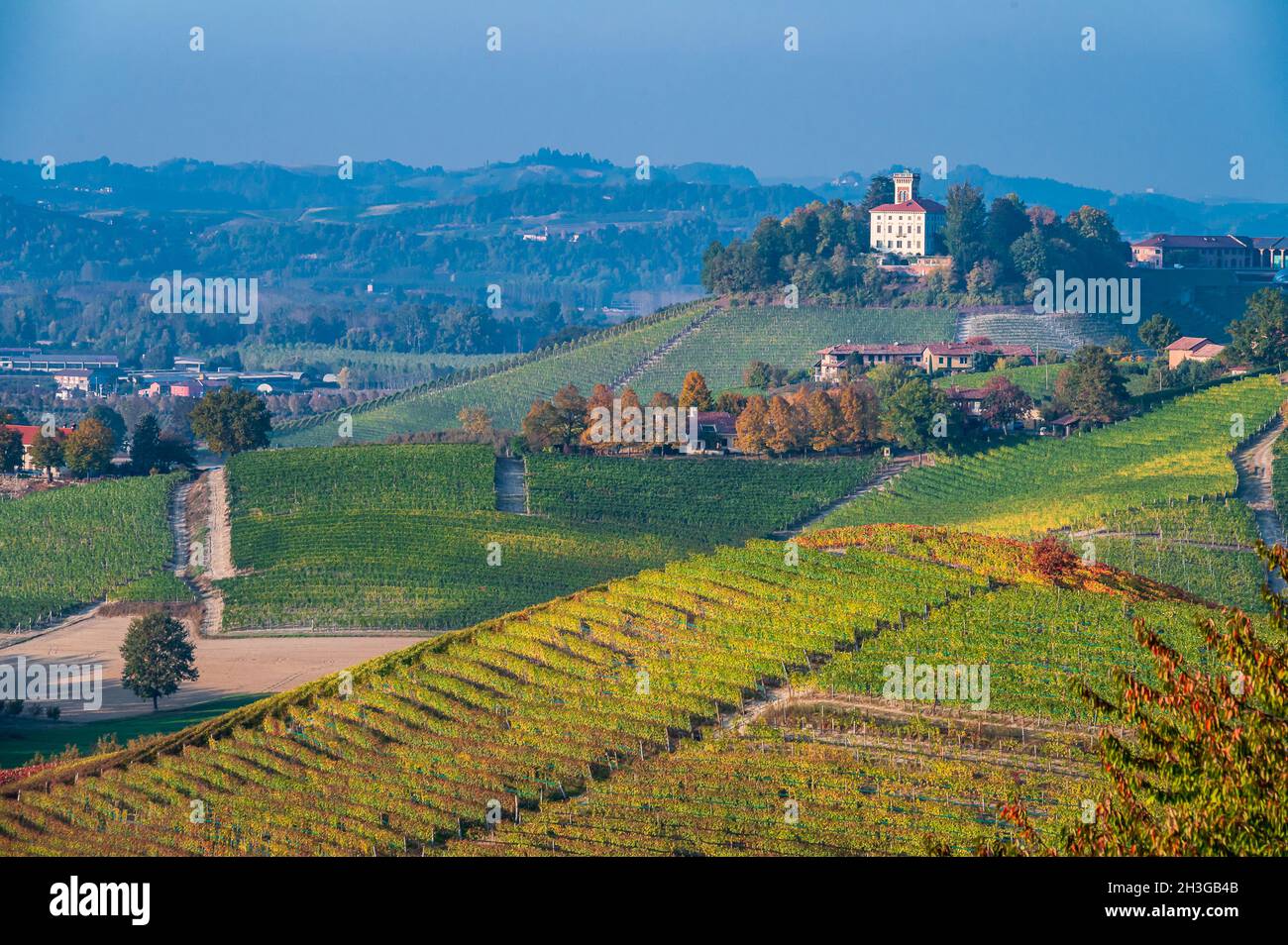 I vigneti delle Langhe sono un sito patrimonio dell'umanità dell'UNESCO vicino al villaggio di Grinzane Cavour Foto Stock