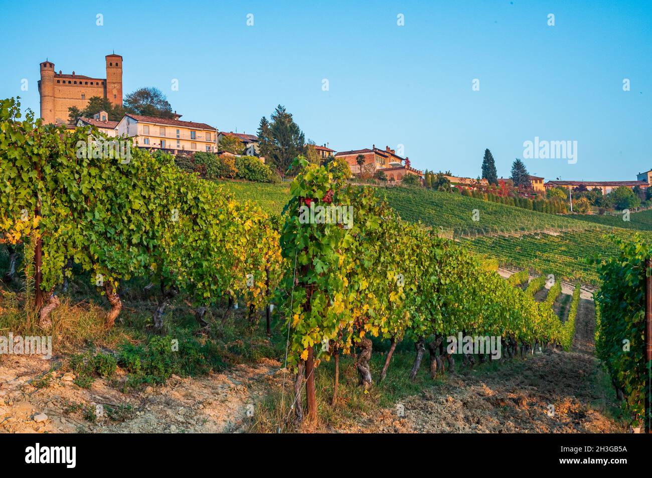Al centro dei vigneti delle Langhe, patrimonio dell'umanità dell'UNESCO, si trova il castello di Serralunga d'Alba Foto Stock
