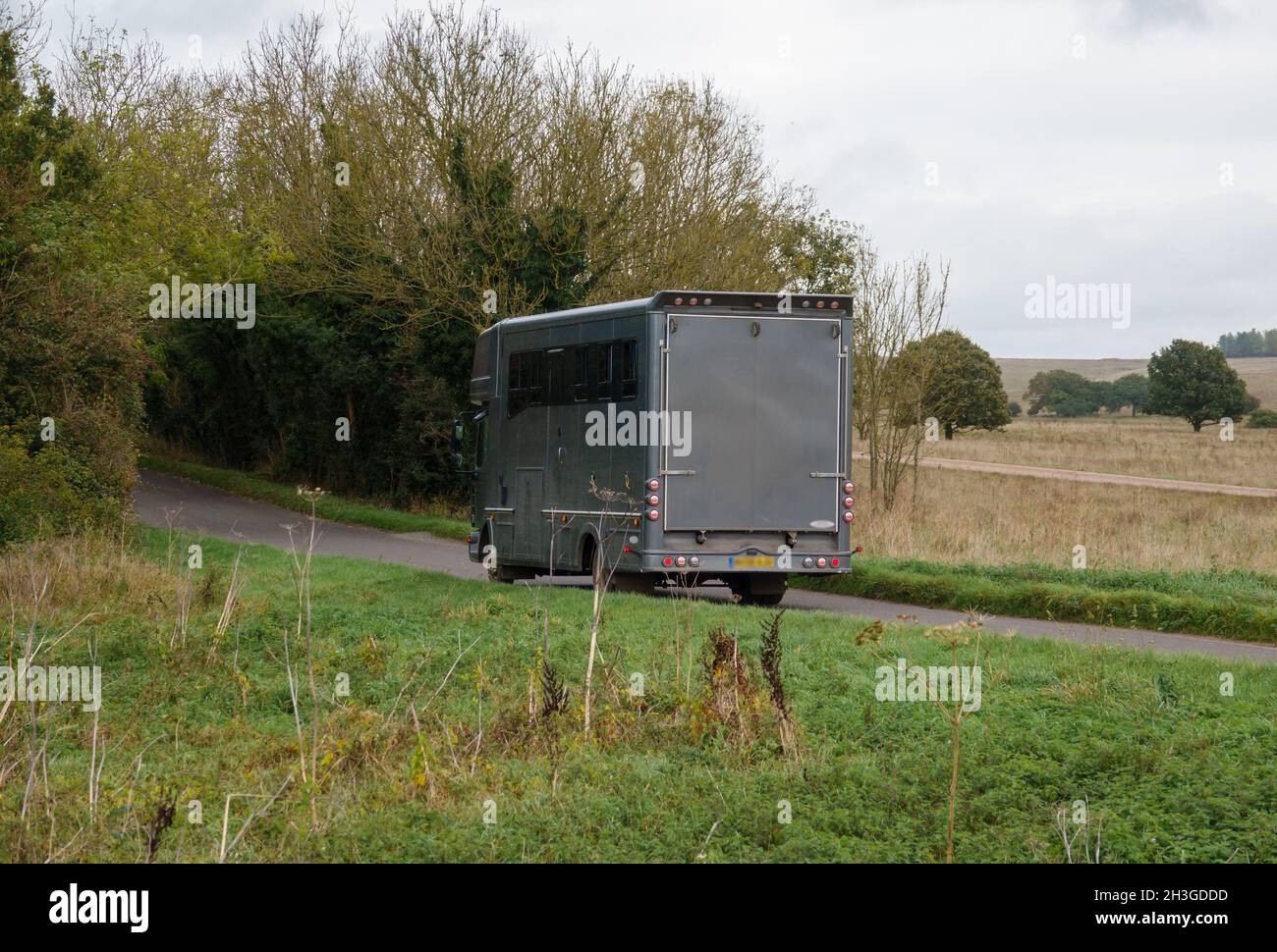 grande pullman grigio lavoro cavallo camion di trasporto in movimento Foto Stock