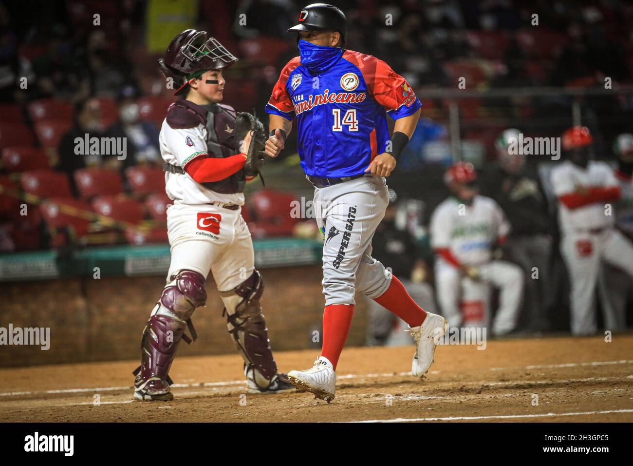MAZATLAN, MESSICO - 01 FEBBRAIO: Melky Cabrera di Aguilas Cibaeñas, durante la partita tra Repubblica Dominicana e Messico come parte della Serie del Caribe 2021 al Teodoro Mariscal Stadium il 1 febbraio 2021 a Mazatlan, Messico. (Foto di Luis Gutierrez/Norte foto) Foto Stock