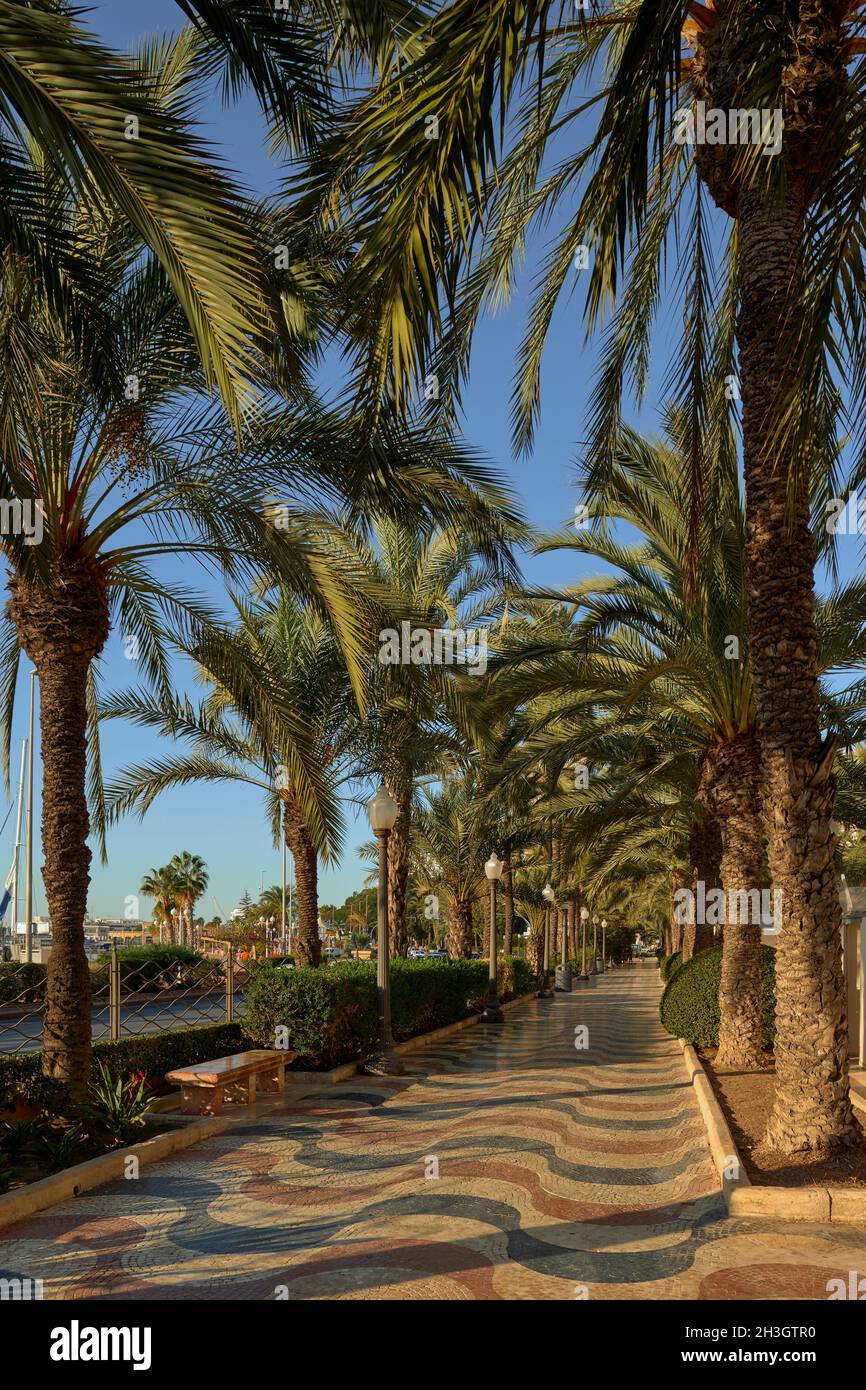 Alacant, la Explanada de España ad Alicante, Spagna con il suo design ondulato Foto Stock