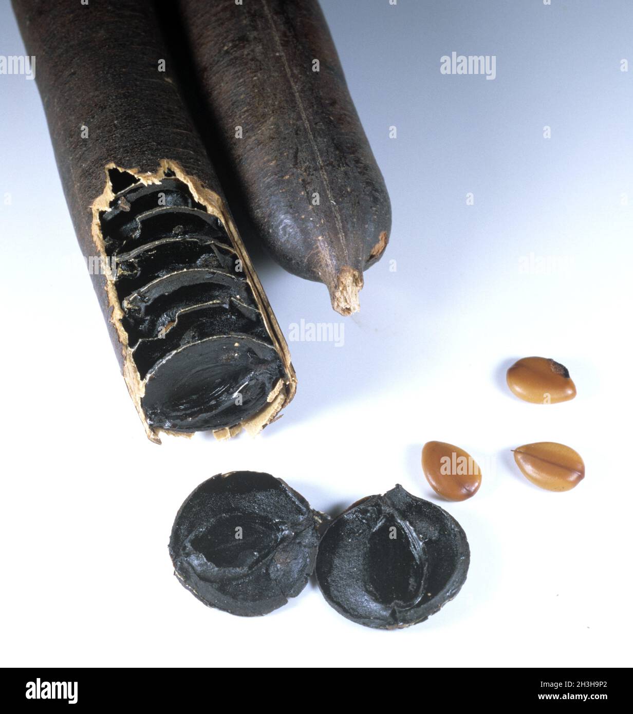 Manna Foto Stock
