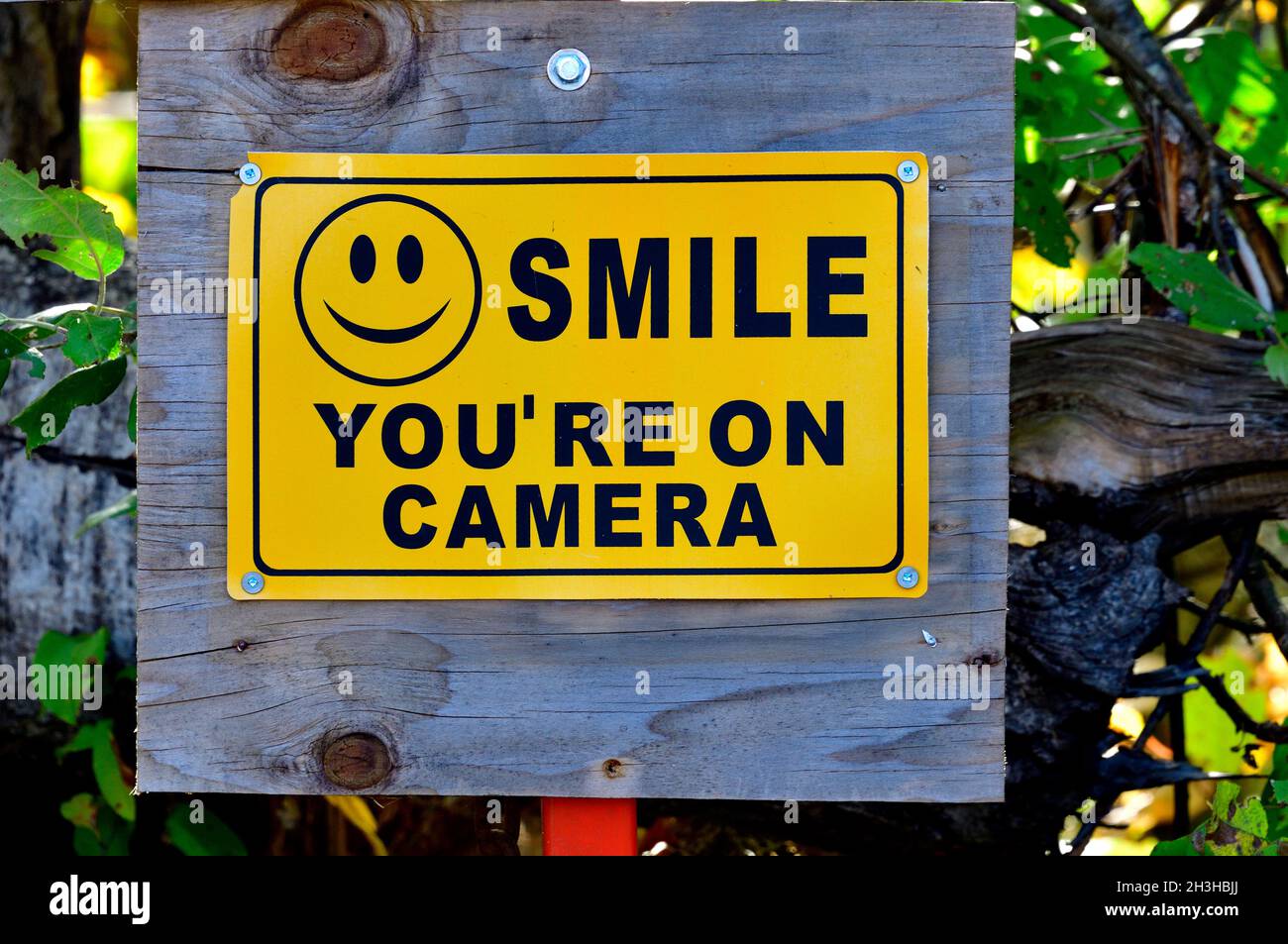 Sorridi sei sul segnale di avvertimento della fotocamera Foto Stock
