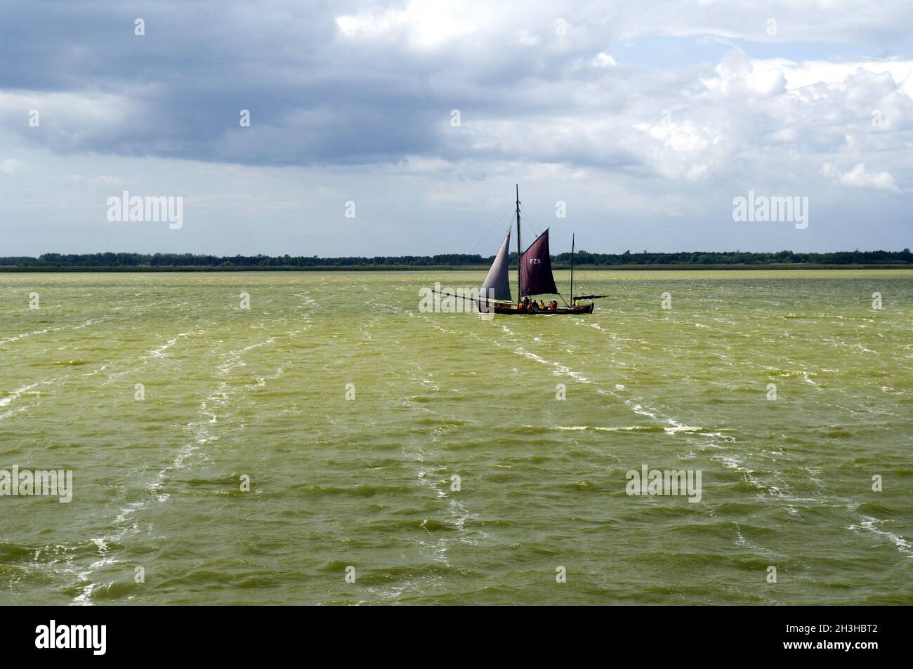 Barca a mare, Saaler Bodden Foto Stock