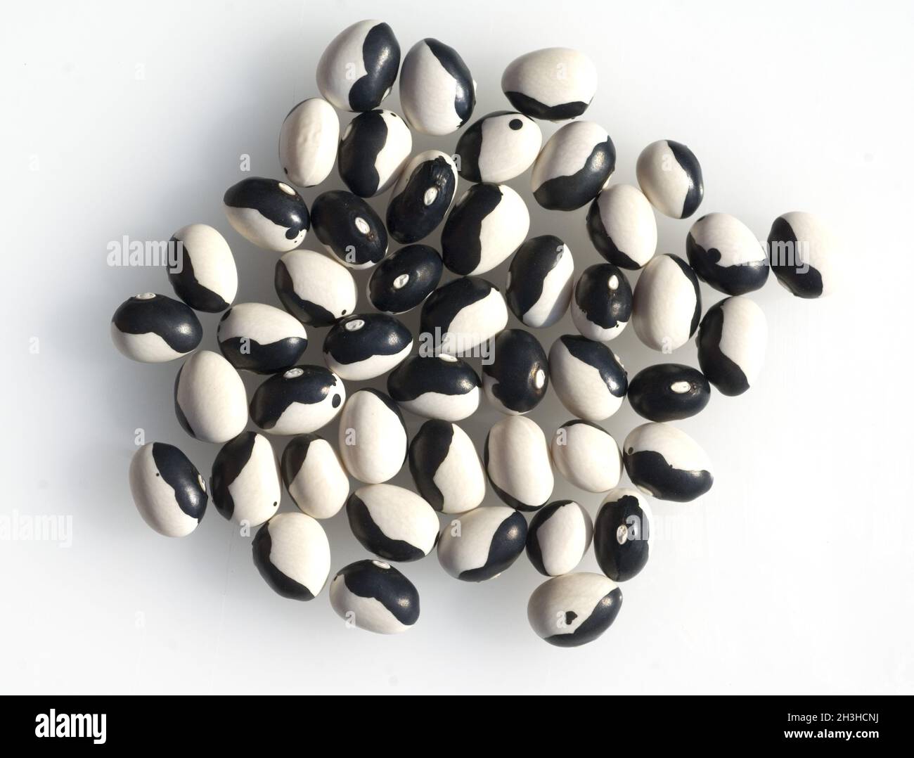 Gioielli Beans Yin Yang Foto Stock