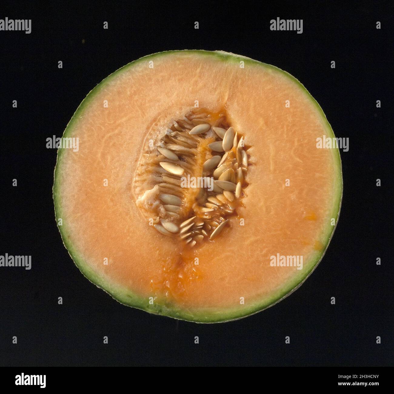 Cantaloupe-Melone, Cucumis melo var. cantalupensis, Foto Stock