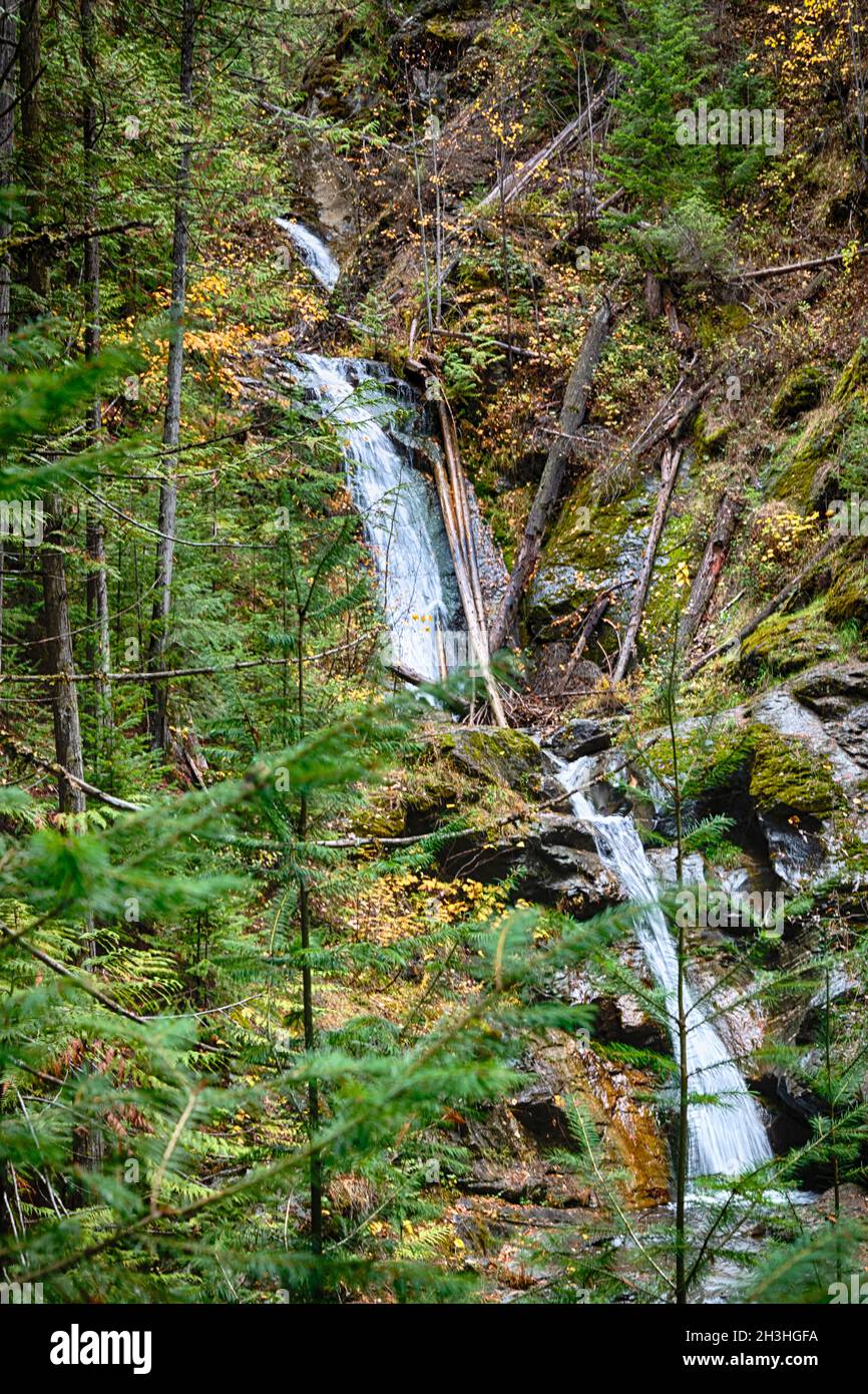 Vista della cascata a tre livelli Evelyn Falls in Anglemont, B.C. Canada. Foto Stock