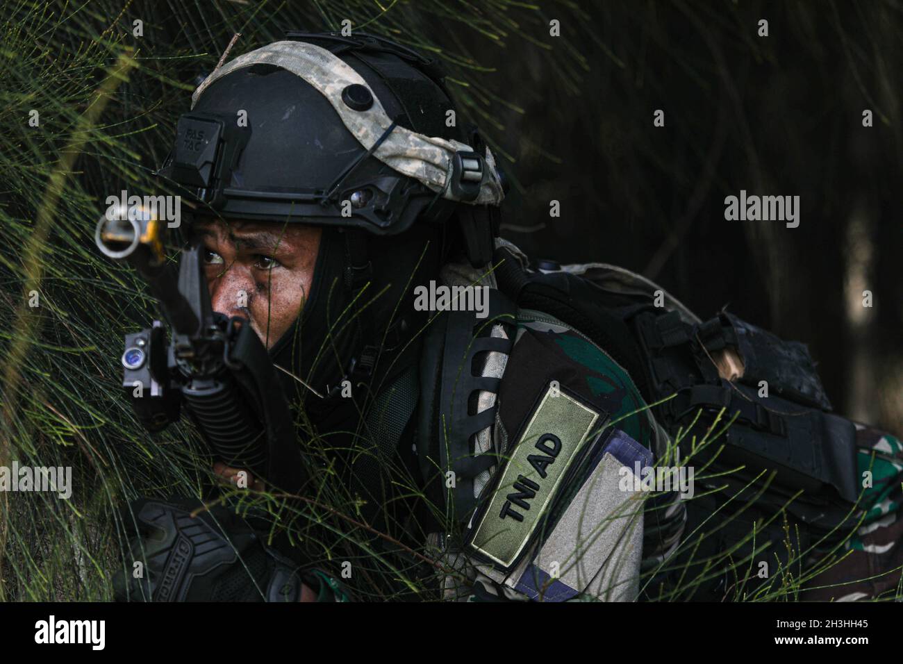 Un membro della Tentara Nasional Indonesia (forze armate nazionali indonesiane) scansiona il suo settore di fuoco durante un attacco simulato come parte del Joint Pacific multinazionale Readiness Center rotazione 22-01 presso Kahuku Training Area, 24 ottobre 2021. JPMRC 22-01 è una rotazione del centro di addestramento di combattimento della stazione domestica (HS-CTC) che offre addestramento realistico e fornisce alle forze armate nella regione di Indo-Pacific l'occasione integrare ed addestrare insieme ai nostri soci ed alleati. (STATI UNITI Foto dell'esercito dello staff Sgt. Effie Mahugh/28° distacco degli affari pubblici) Foto Stock