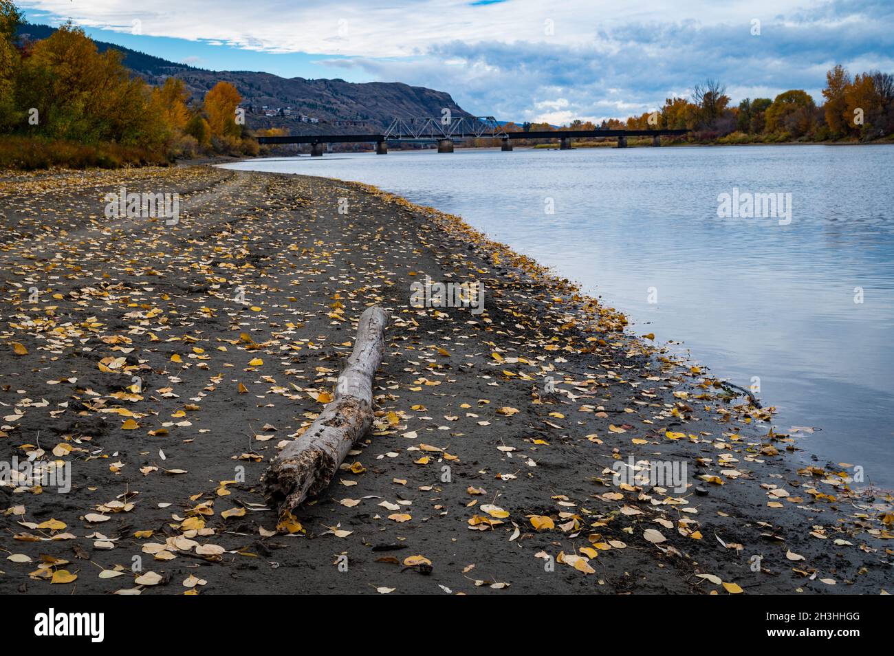 Vista di un tronco in un parco in autunno a Kamloops lungo il South Thompson River guardando verso un ponte ferroviario a traliccio nella British Columbia Canada. Foto Stock