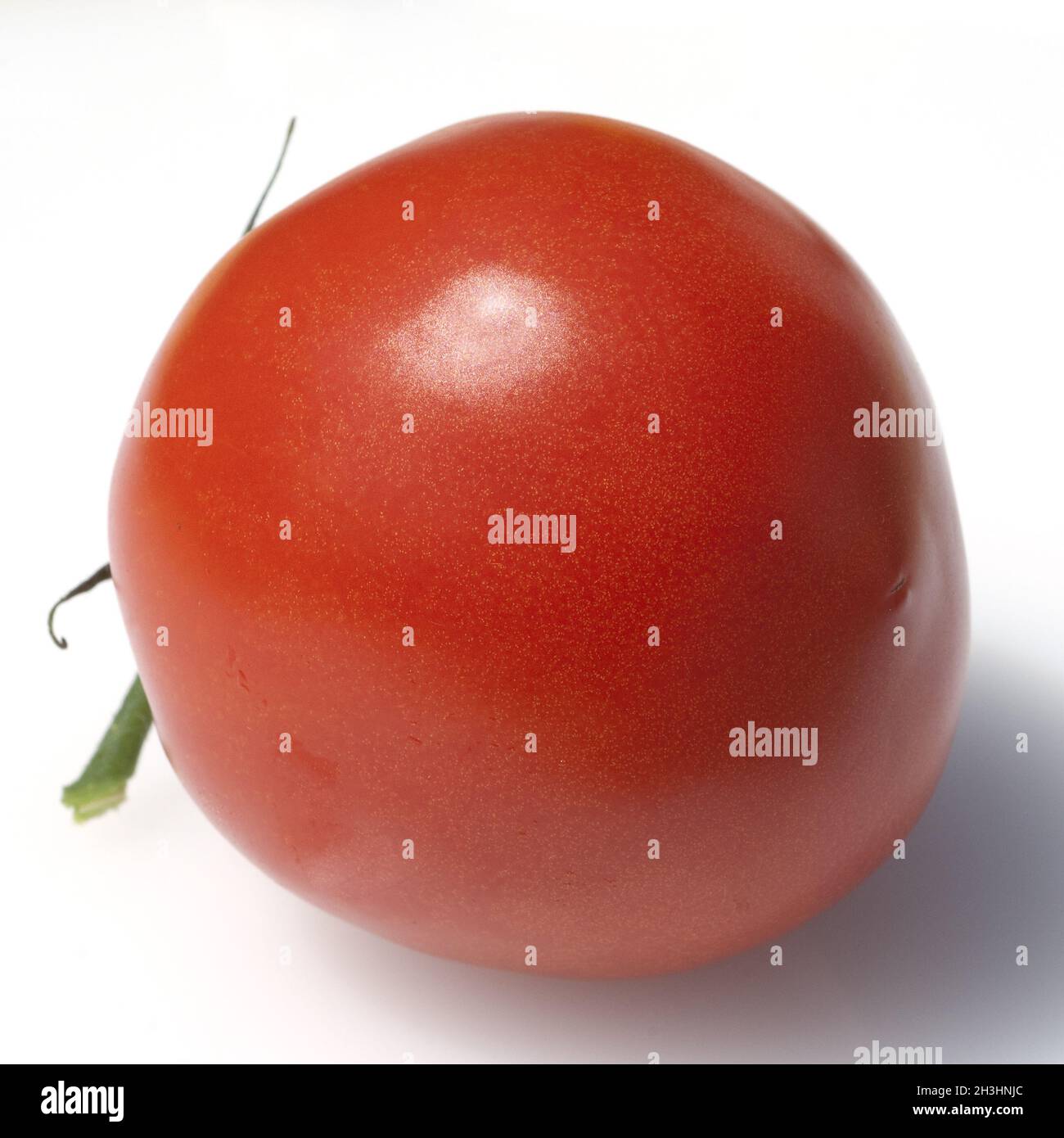 Respen-Tomaten, Lycopersicon esculentum Foto Stock